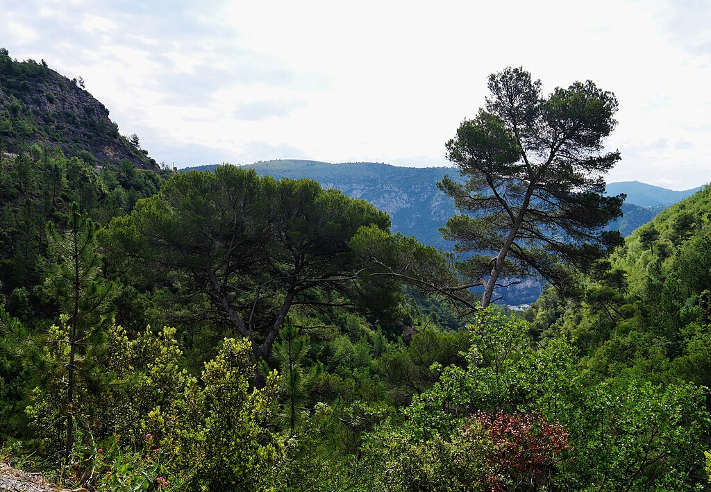Pompe à chaleur Alpes-Maritimes