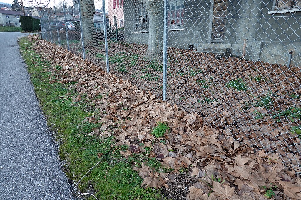 Pompe à chaleur Bellegarde-sur-Valserine