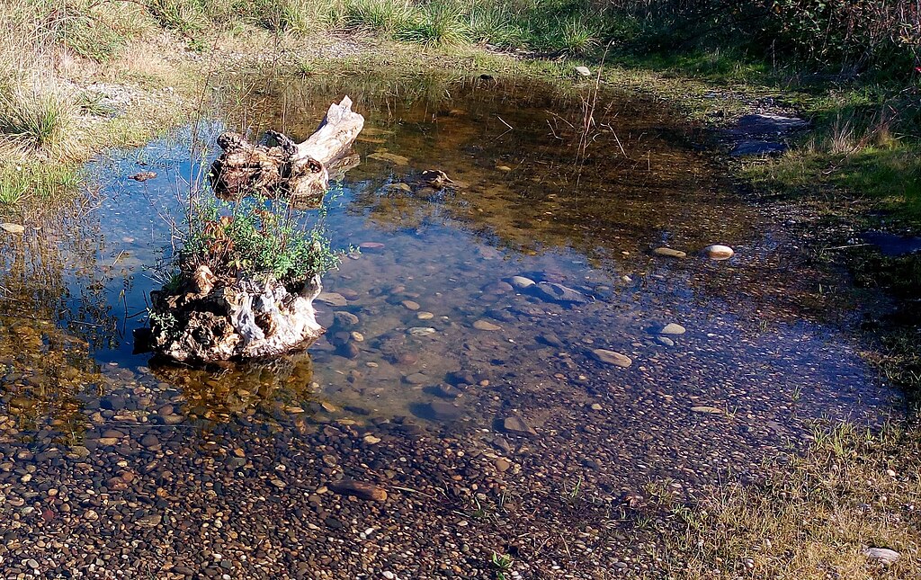 Pompe à chaleur Wittenheim