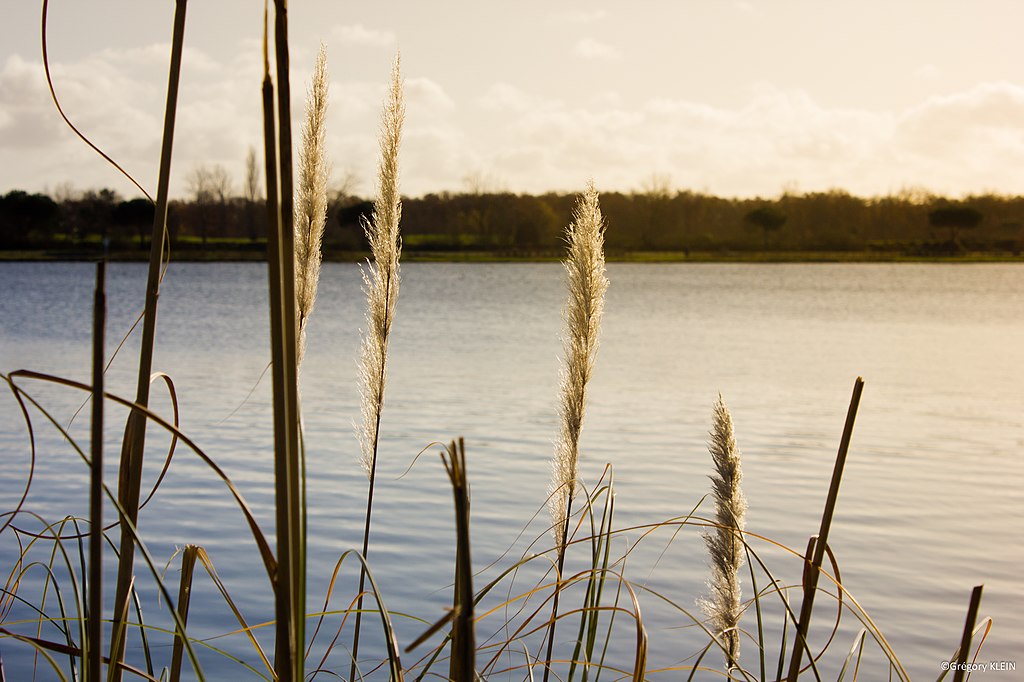 Pompe à chaleur Tournefeuille