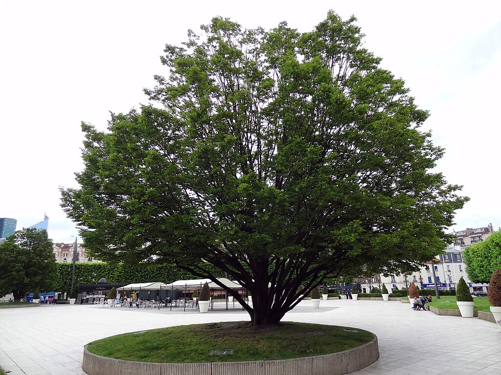 Pompe à chaleur Puteaux