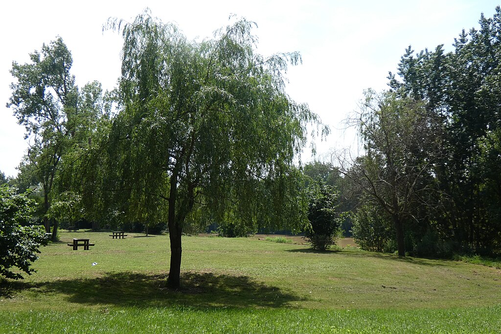 Pompe à chaleur Marmande
